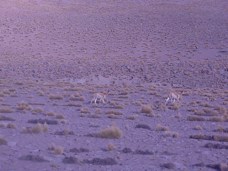 Foto de San Pedro de Atacama, Chile