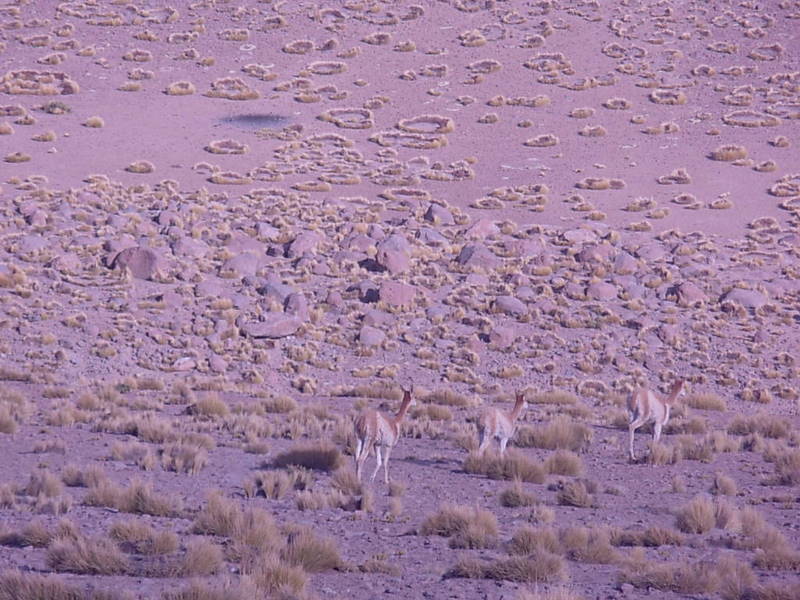 Foto de San Pedro de Atacama, Chile