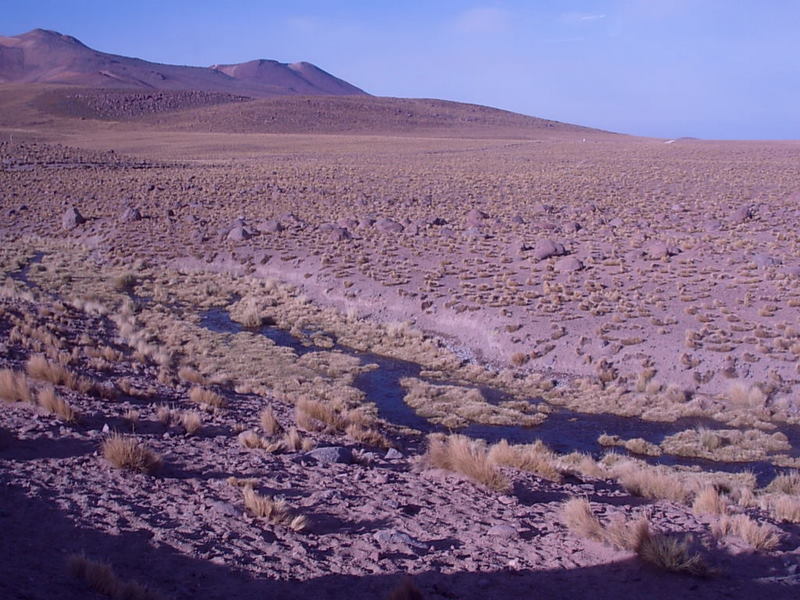 Foto de San Pedro de Atacama, Chile