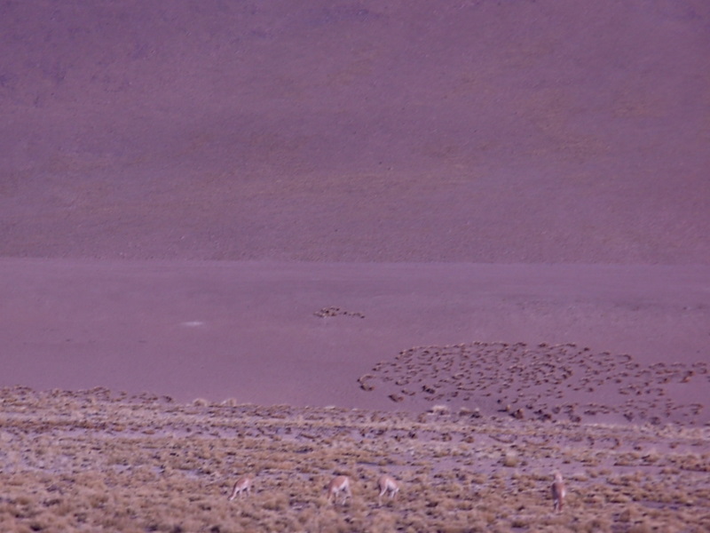 Foto de San Pedro de Atacama, Chile