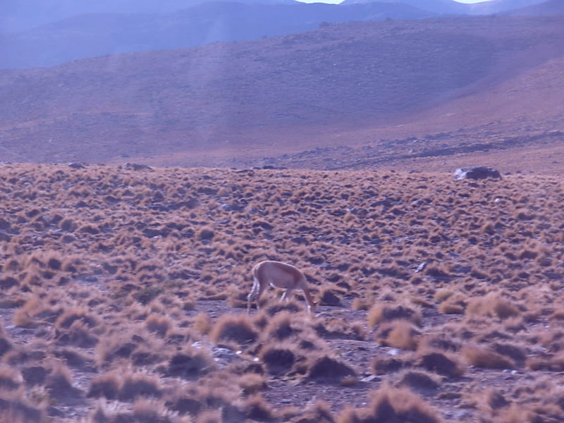 Foto de San Pedro de Atacama, Chile