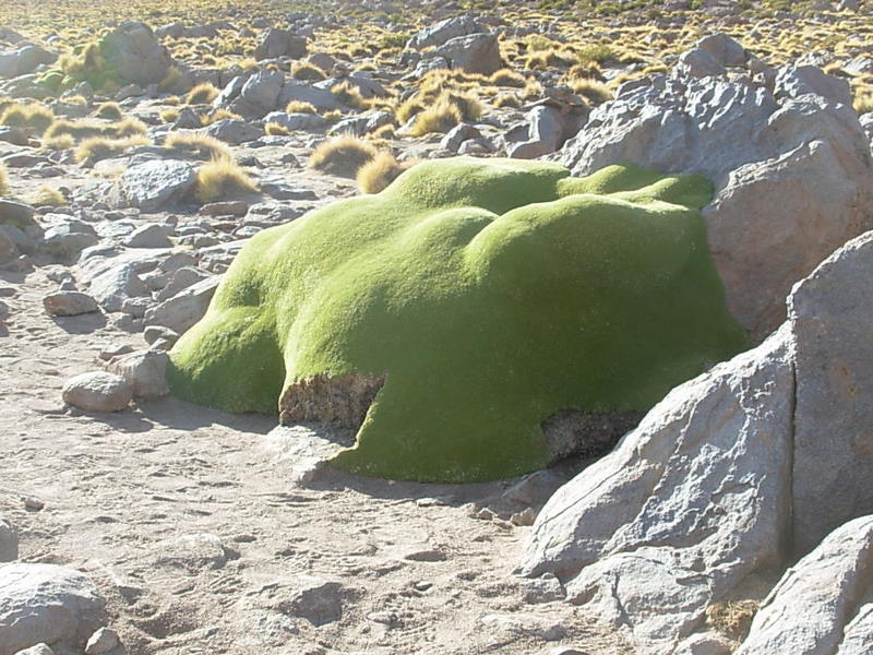 Foto de San Pedro de Atacama, Chile