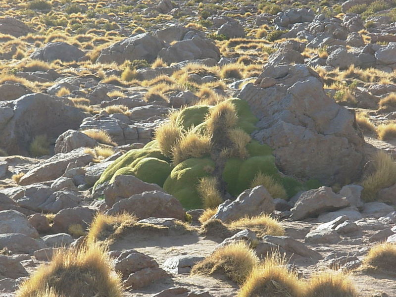 Foto de San Pedro de Atacama, Chile