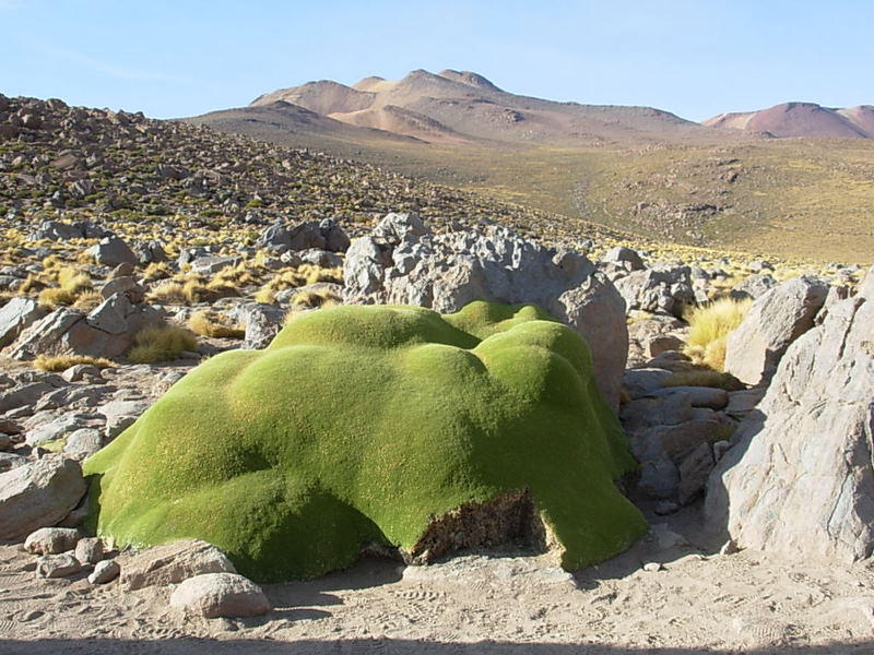 Foto de San Pedro de Atacama, Chile