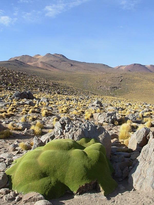 Foto de San Pedro de Atacama, Chile