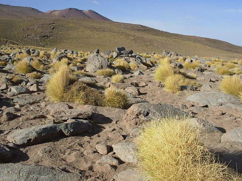 Foto de San Pedro de Atacama, Chile