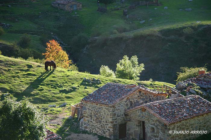Foto de Aller (Asturias), España