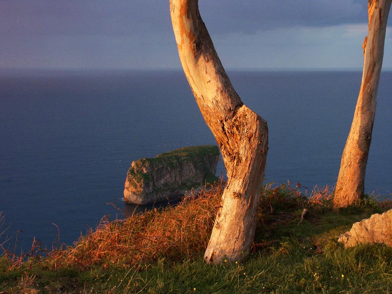 Foto de Llanes (Asturias), España