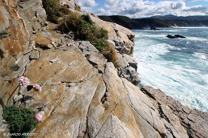Foto de Cudillero (Asturias), España