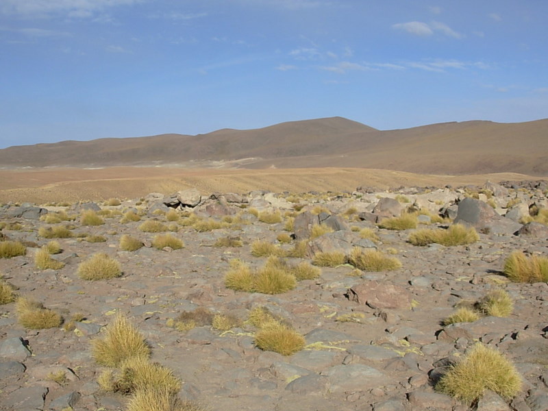 Foto de San Pedro de Atacama, Chile