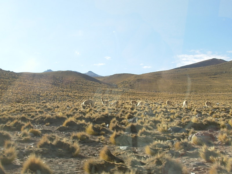 Foto de San Pedro de Atacama, Chile