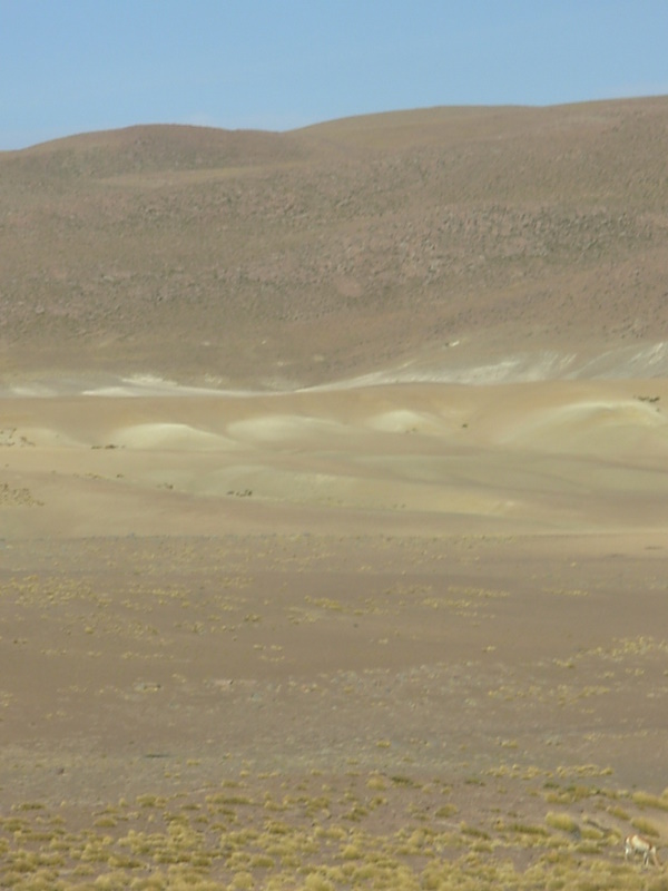 Foto de San Pedro de Atacama, Chile