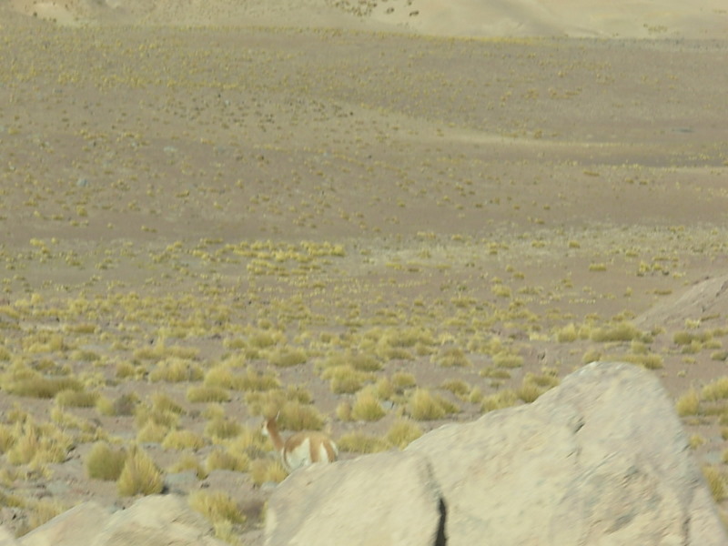 Foto de San Pedro de Atacama, Chile