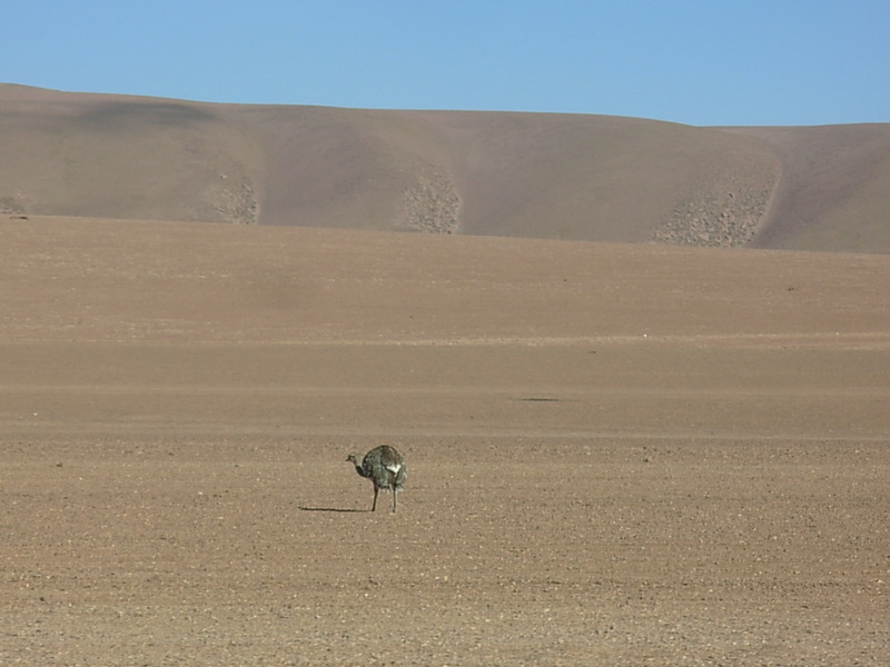Foto de San Pedro de Atacama, Chile