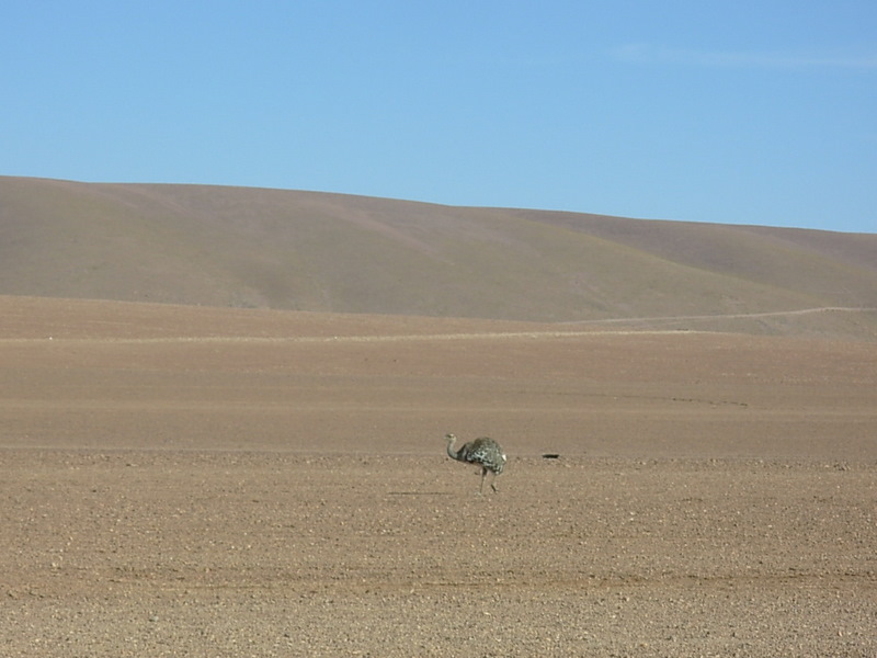 Foto de San Pedro de Atacama, Chile