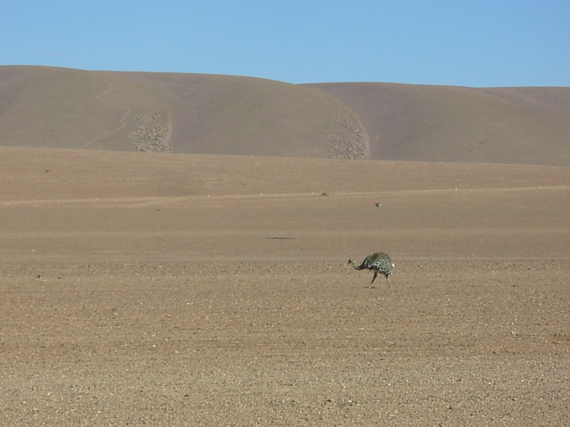 Foto de San Pedro de Atacama, Chile