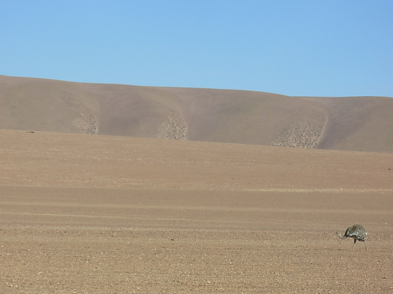 Foto de San Pedro de Atacama, Chile