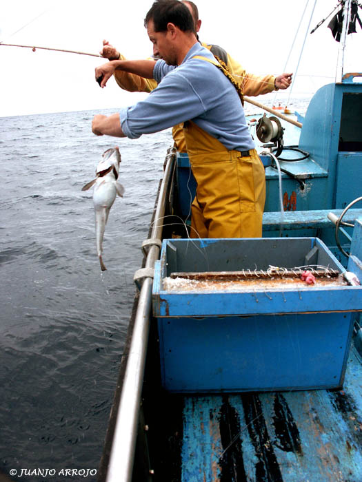 Foto de Cudillero (Asturias), España