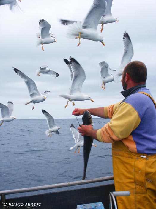 Foto de Cudillero (Asturias), España