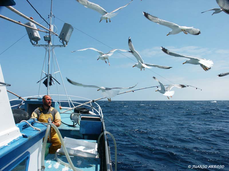 Foto de Cudillero (Asturias), España