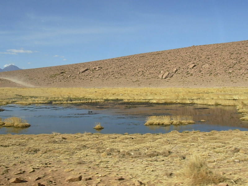 Foto de San Pedro de Atacama, Chile