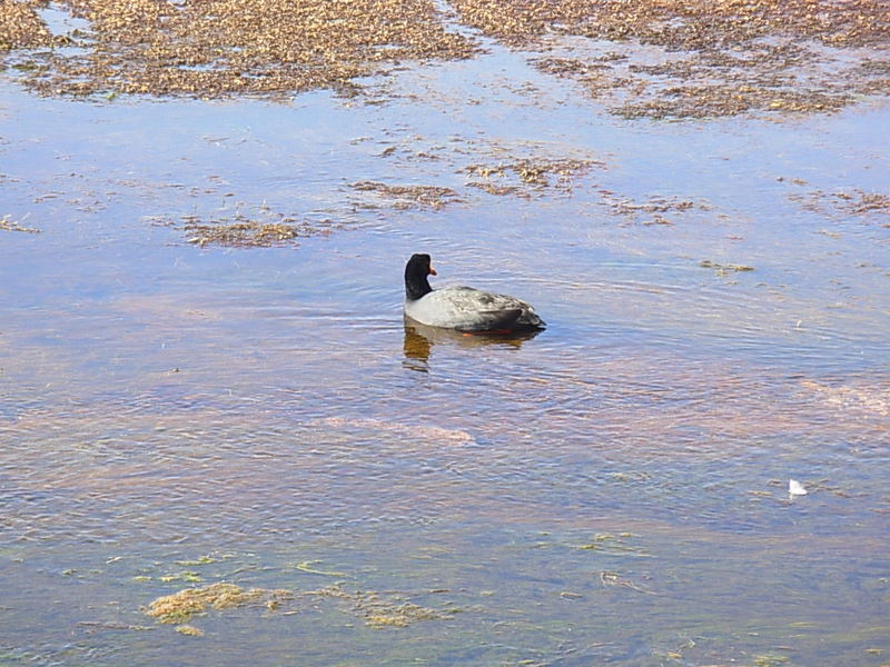Foto de San Pedro de Atacama, Chile