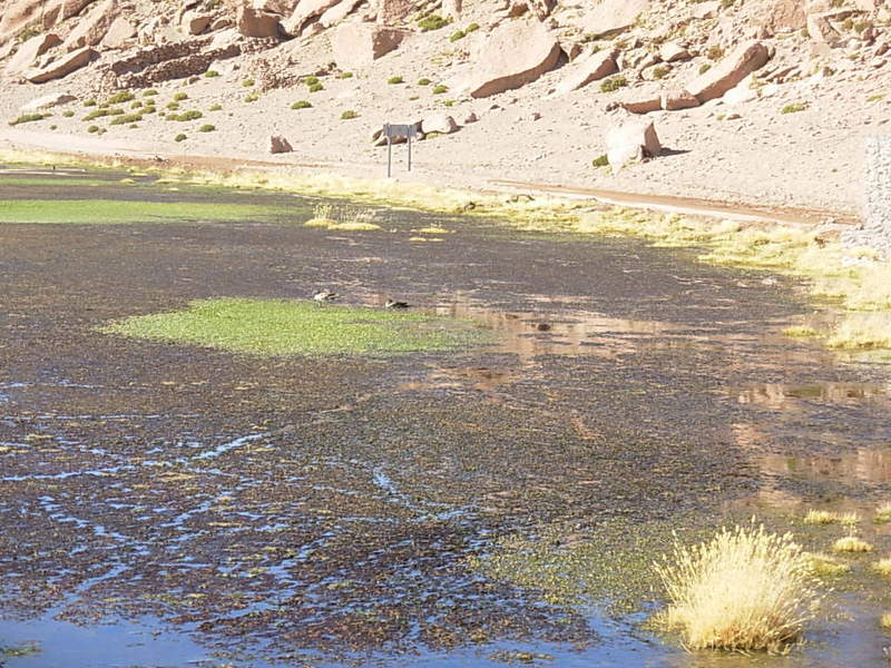 Foto de San Pedro de Atacama, Chile