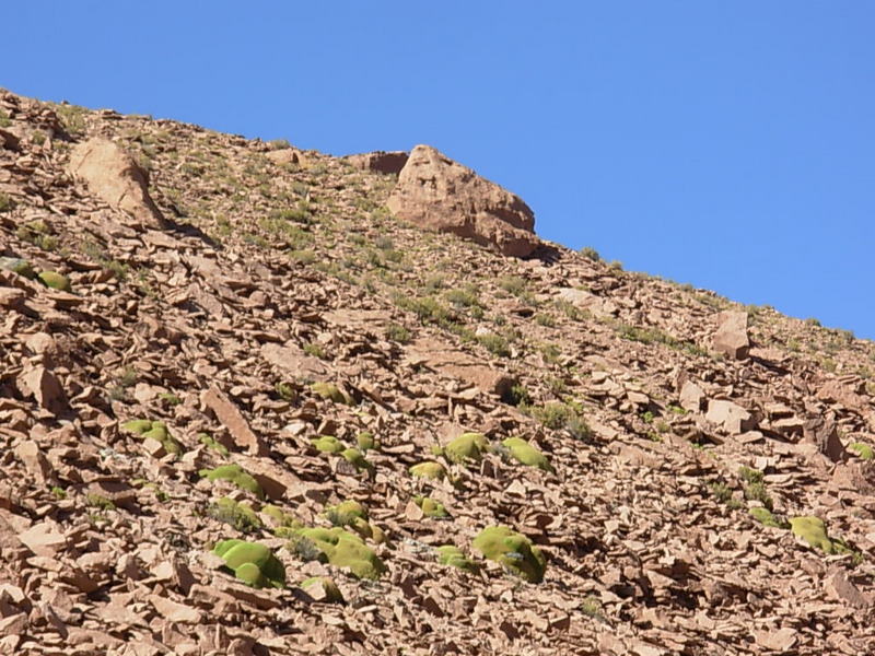 Foto de San Pedro de Atacama, Chile