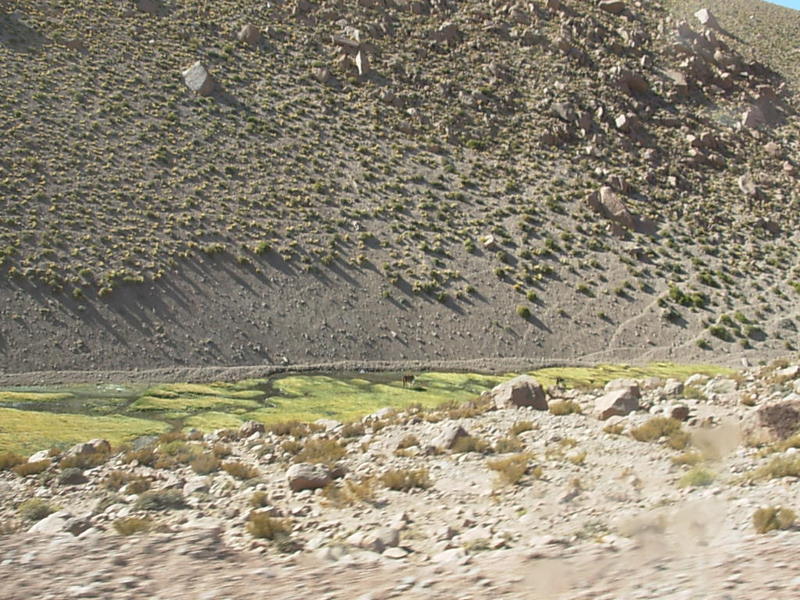 Foto de San Pedro de Atacama, Chile