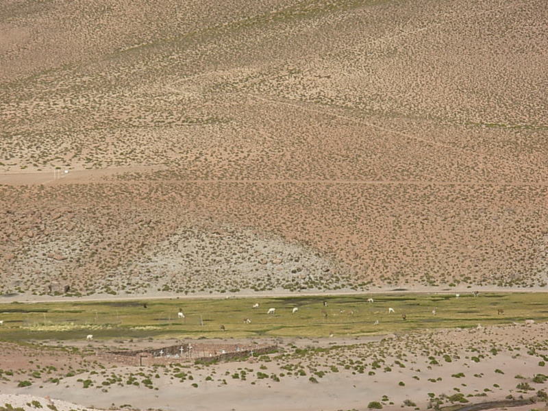 Foto de San Pedro de Atacama, Chile