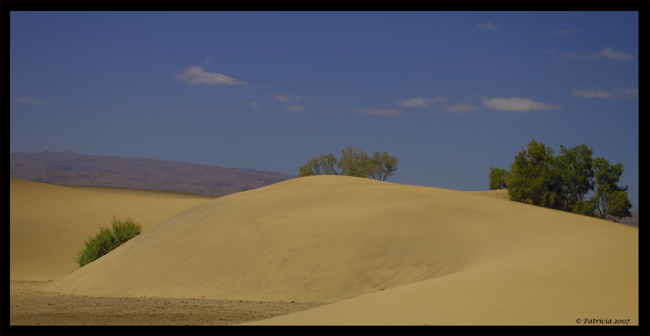 Foto de Mas Palomas (Las Palmas), España