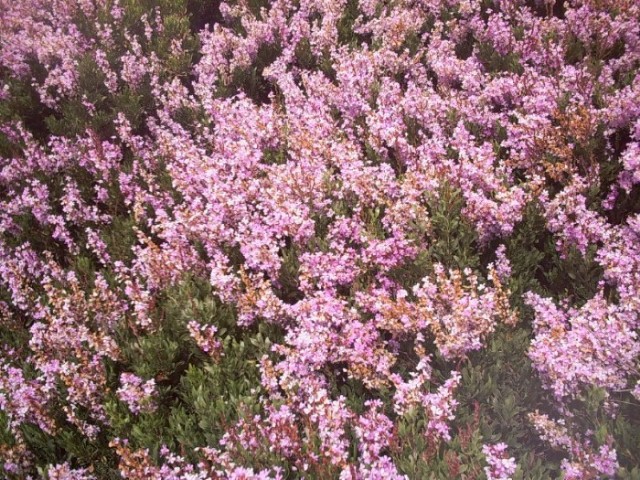 Foto de S´algar - Menorca (Illes Balears), España