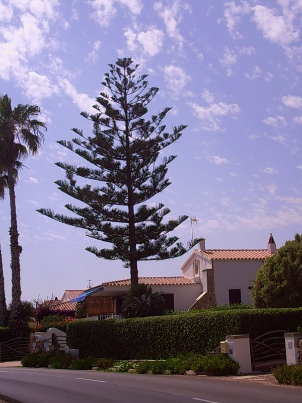 Foto de Menorca (Illes Balears), España