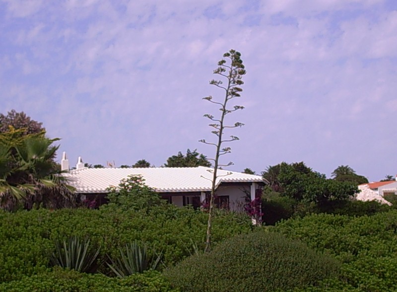 Foto de Binidali - Menorca (Illes Balears), España