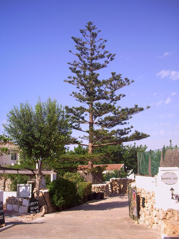 Foto de Sant Climent - Menorca (Illes Balears), España