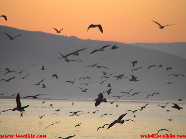 Foto de Barbate (Cádiz), España