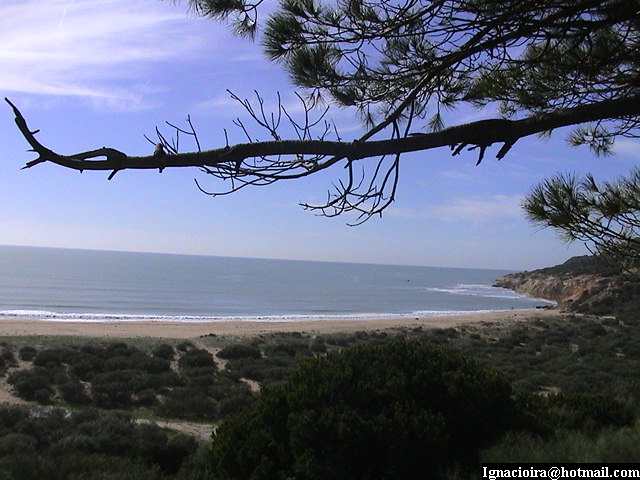 Foto de Barbate (Cádiz), España