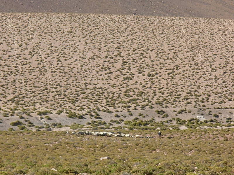 Foto de San Pedro de Atacama, Chile