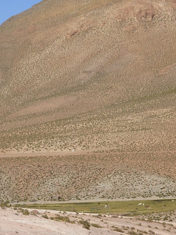 Foto de San Pedro de Atacama, Chile