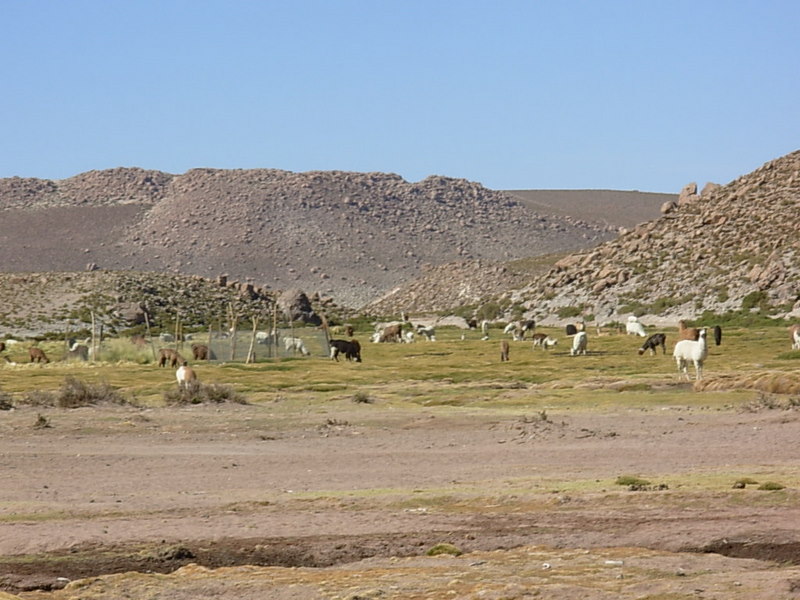 Foto de San Pedro de Atacama, Chile
