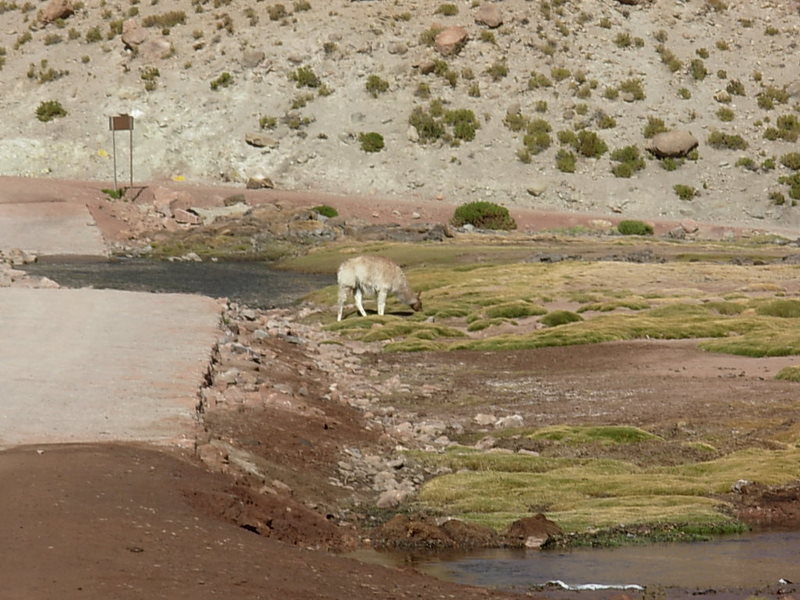 Foto de San Pedro de Atacama, Chile
