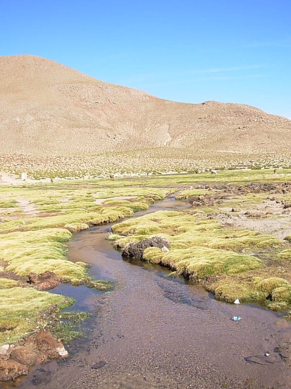 Foto de San Pedro de Atacama, Chile
