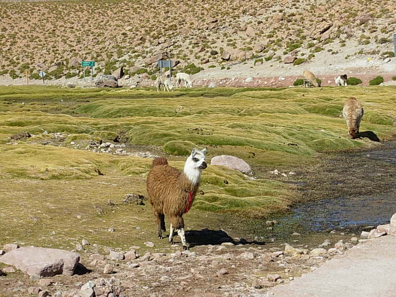Foto de San Pedro de Atacama, Chile
