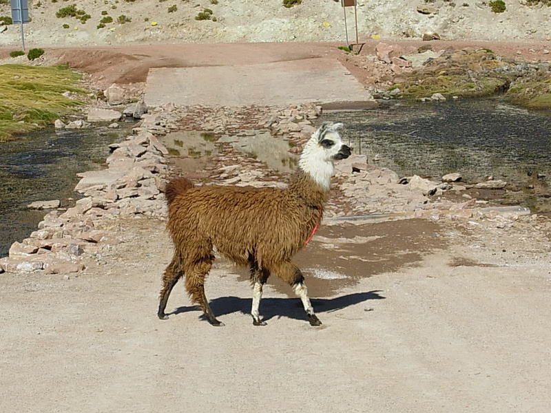 Foto de San Pedro de Atacama, Chile