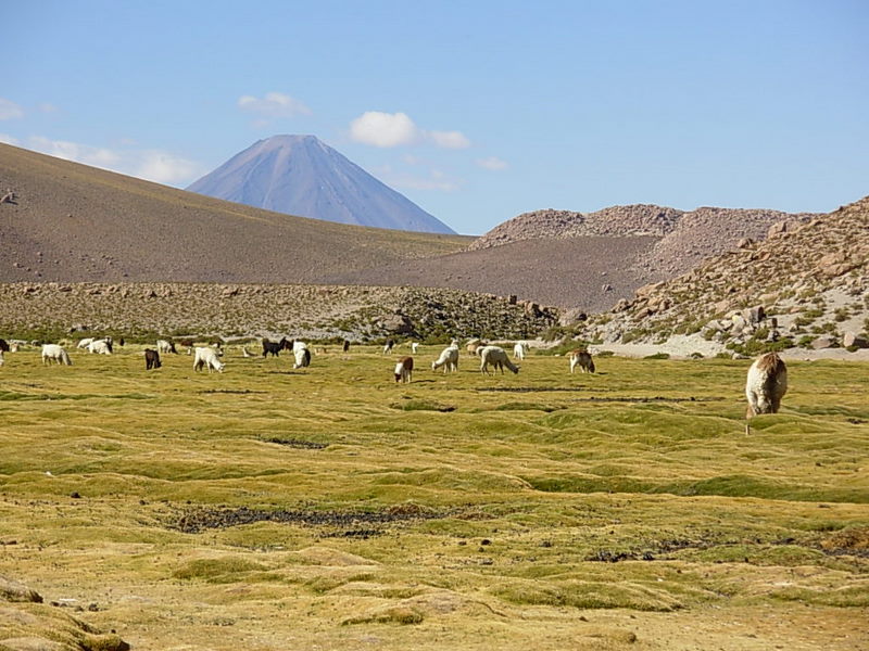 Foto de San Pedro de Atacama, Chile