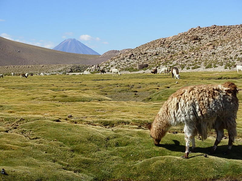 Foto de San Pedro de Atacama, Chile
