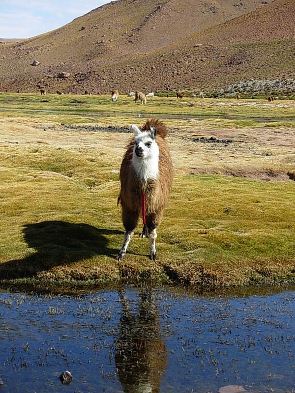 Foto de San Pedro de Atacama, Chile