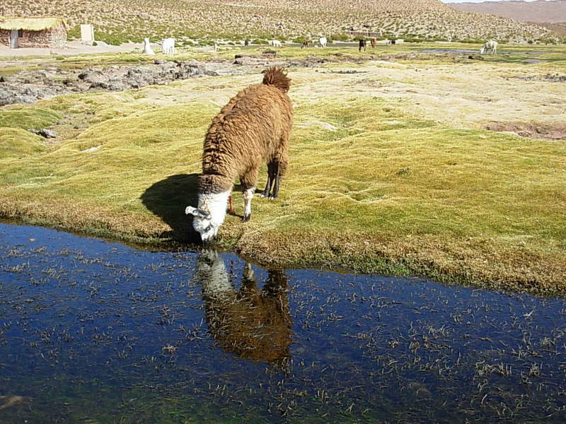 Foto de San Pedro de Atacama, Chile