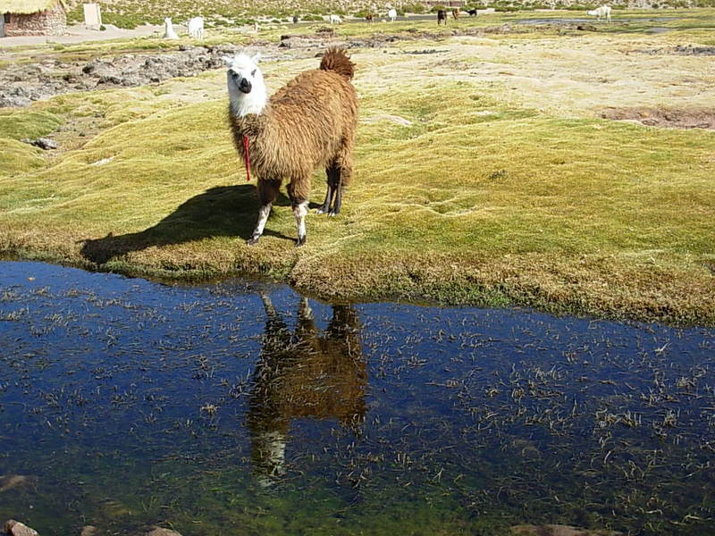 Foto de San Pedro de Atacama, Chile
