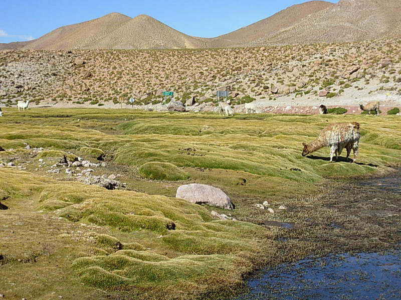 Foto de San Pedro de Atacama, Chile